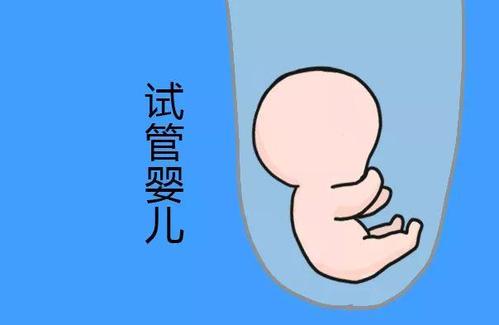 关于清砚堂中医馆